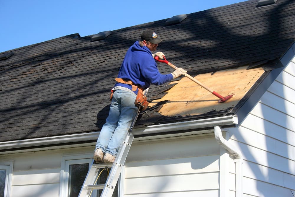 Roofing ladder staged beside a home